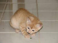 20100206 443.JPG